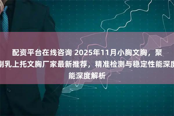 配资平台在线咨询 2025年11月小胸文胸，聚拢收副乳上托文胸厂家最新推荐，精准检测与稳定性能深度解析